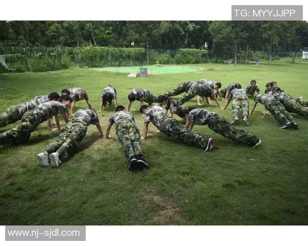 上海排球队的阵地战揭秘：深度解析战术与团队协作的完美结合