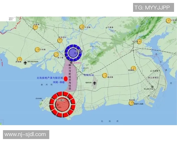 数据分析揭示LNG市场的强劲表现与未来发展潜力 数据分析揭示LNG市场的强劲表现与未来发展潜力