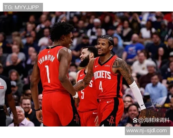2017至2018赛季火箭队与灰熊队激烈对决回顾与分析